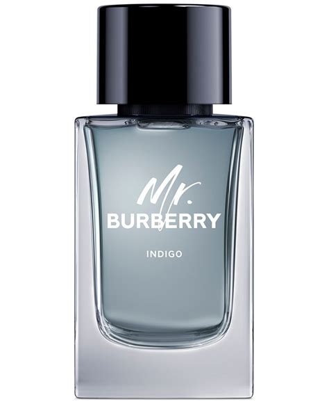 men's mr burberry indigo eau de toilette spray 5-oz|mr burberry indigo cologne reviews.